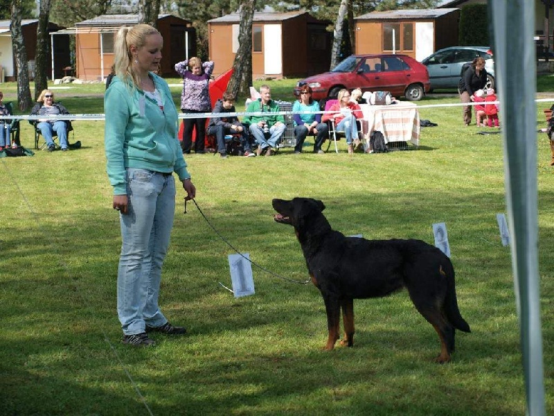 CH. Ciara Le Coeur Pur - excellent, res. CAC