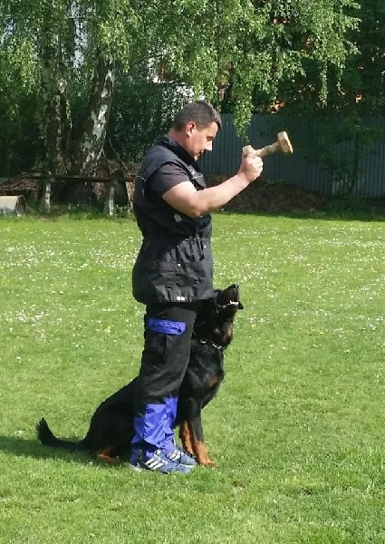 Cleo Le Coeur Pur - Cleo - ZM examen (49, 47, 50)