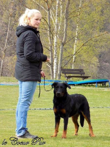 CH. Ciara Le Coeur Pur - excellent 4