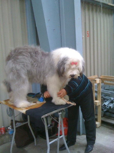 Give me love of the Arabian Nights - 1° excellent.