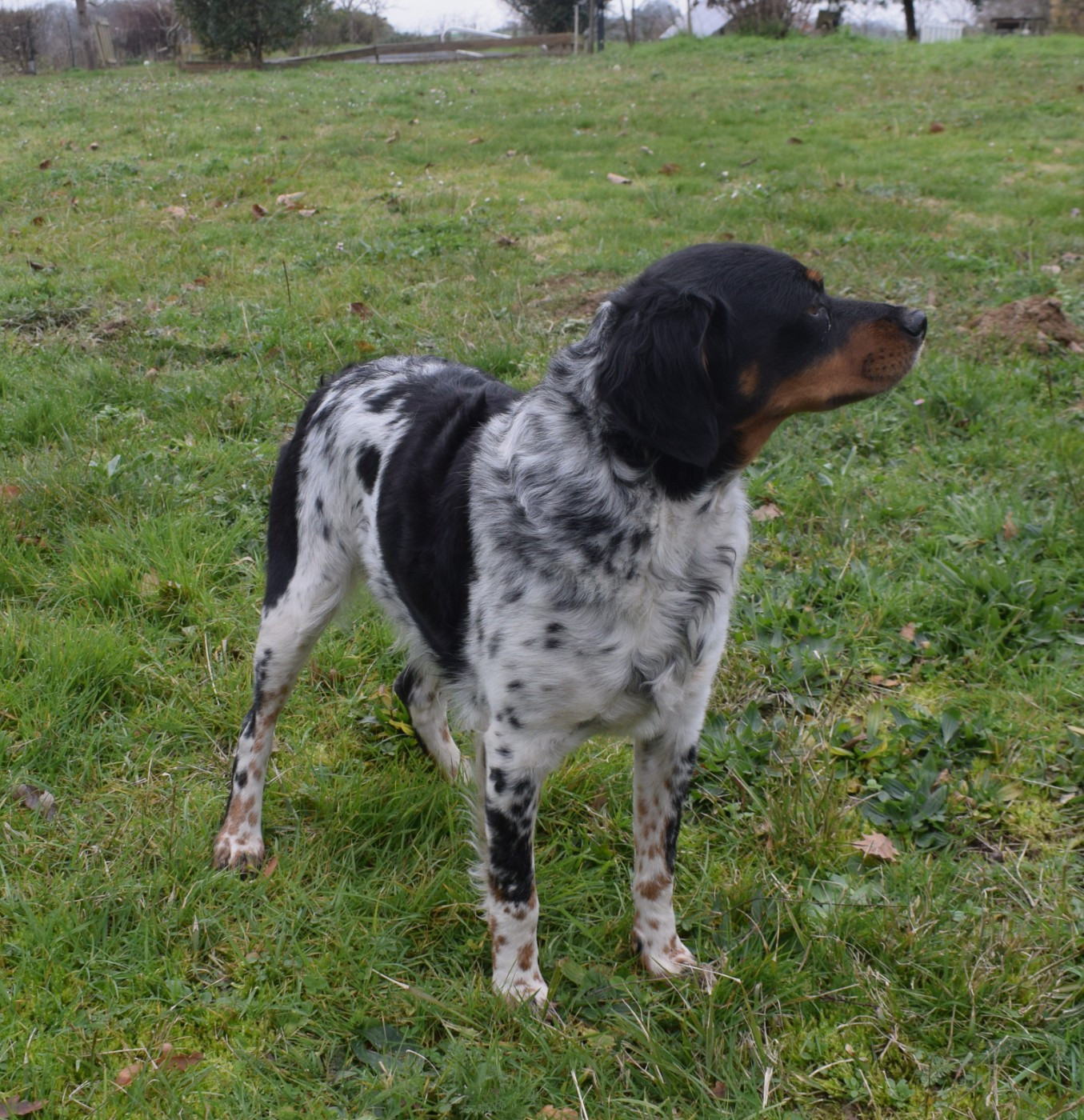 Talys Du Val Des Deux Baïses