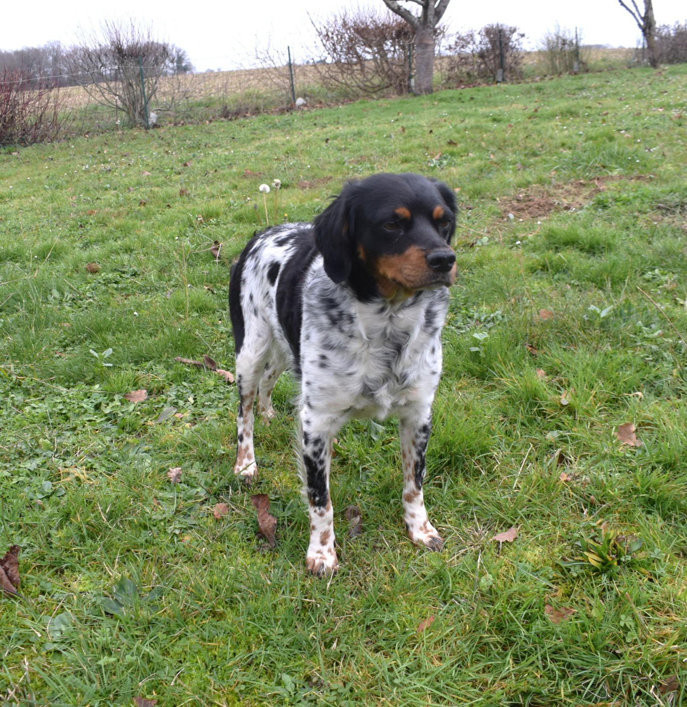 Talys Du Val Des Deux Baïses