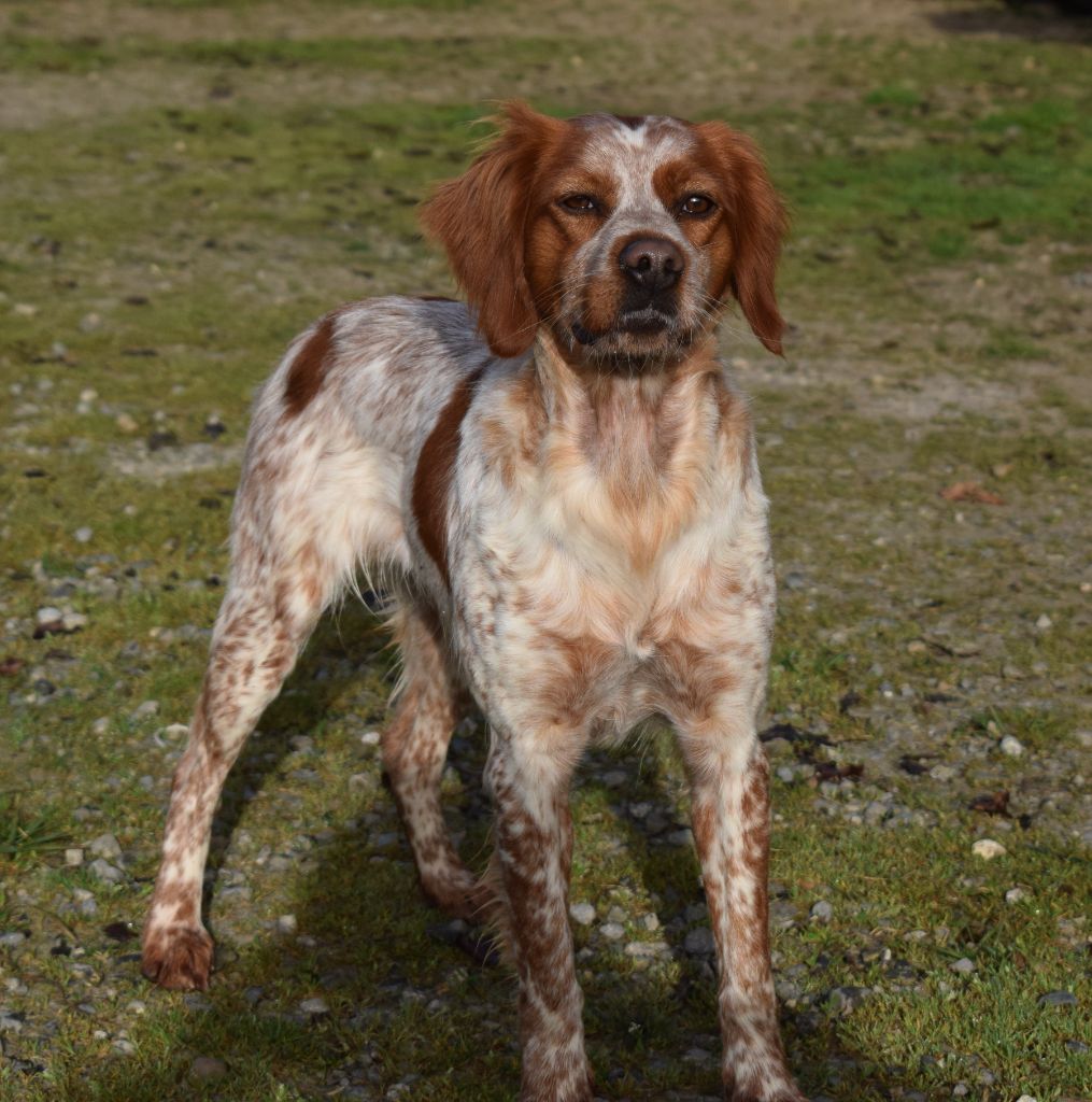 Publication : Du Val Des Deux Baïses