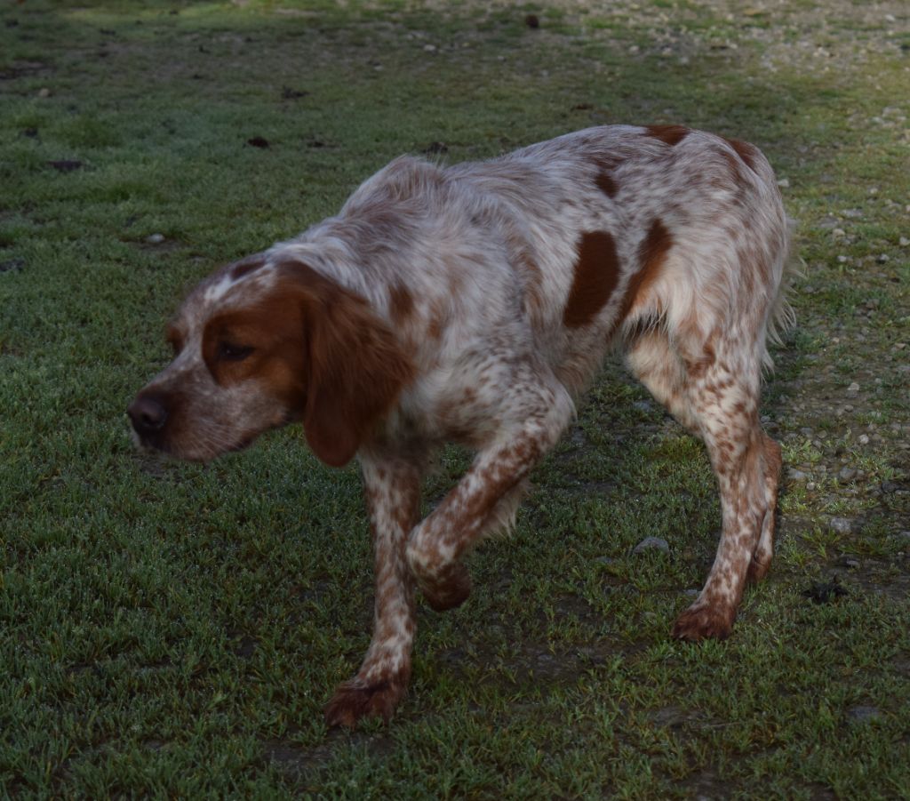 Publication : Du Val Des Deux Baïses