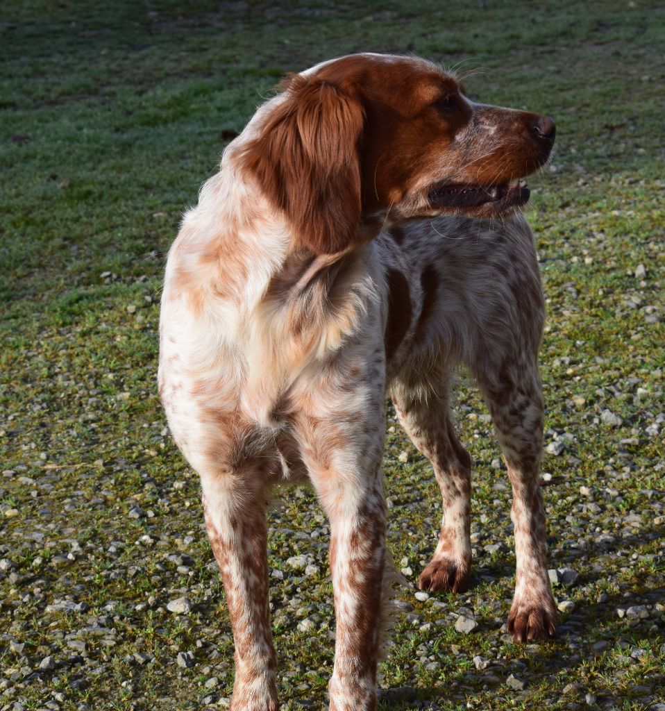 Publication : Du Val Des Deux Baïses