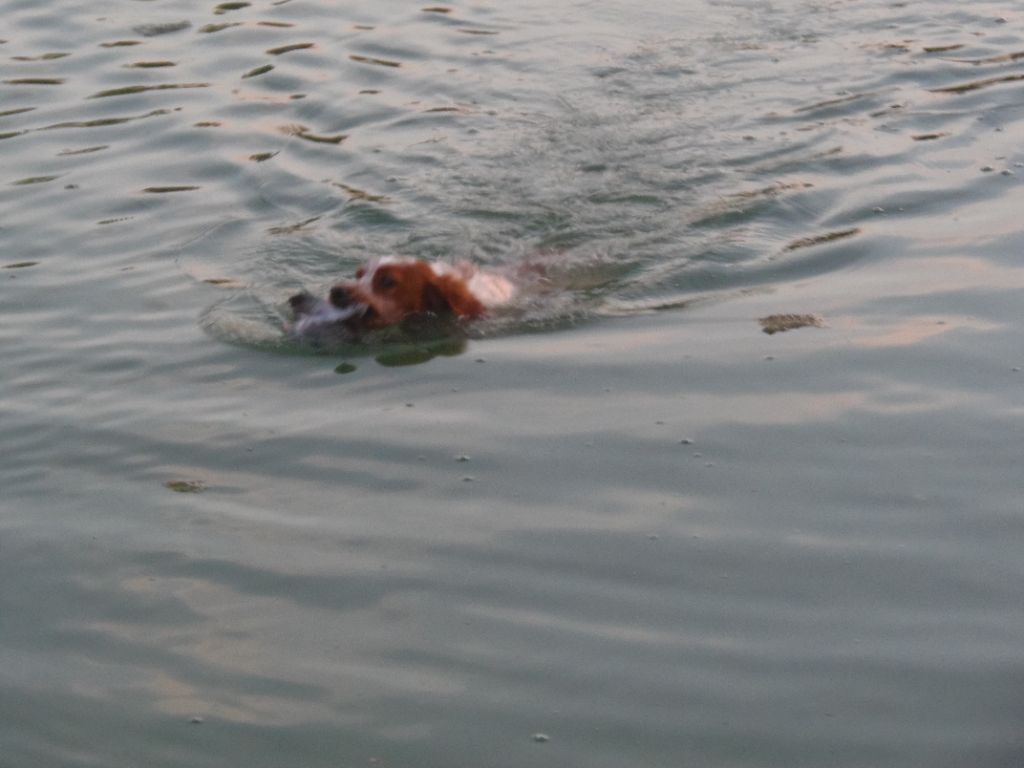 Publication : Du Val Des Deux Baïses