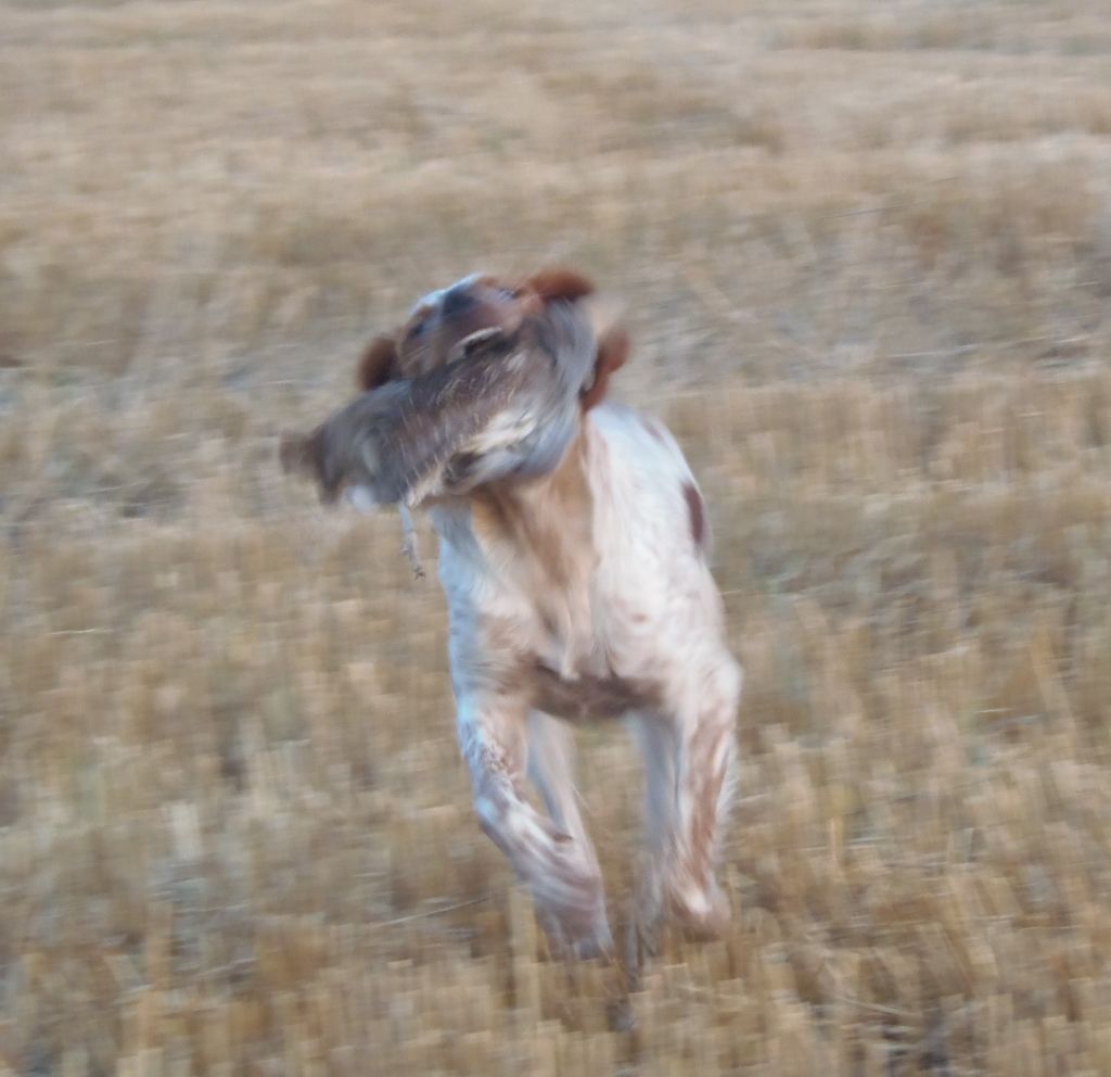 Publication : Du Val Des Deux Baïses