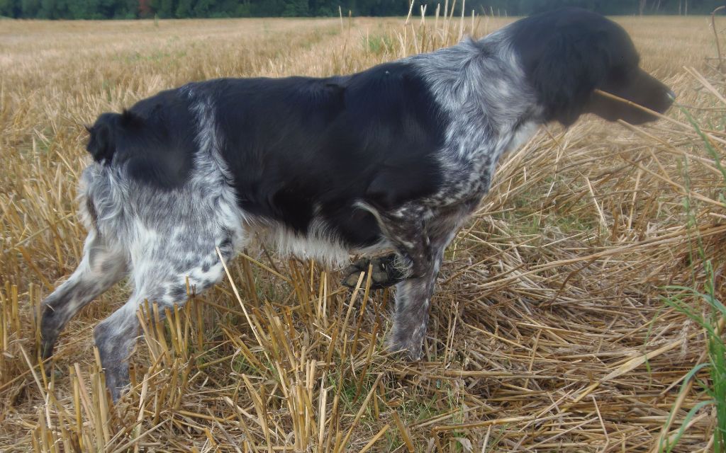 Publication : Du Val Des Deux Baïses Auteur : du val des deux baïses