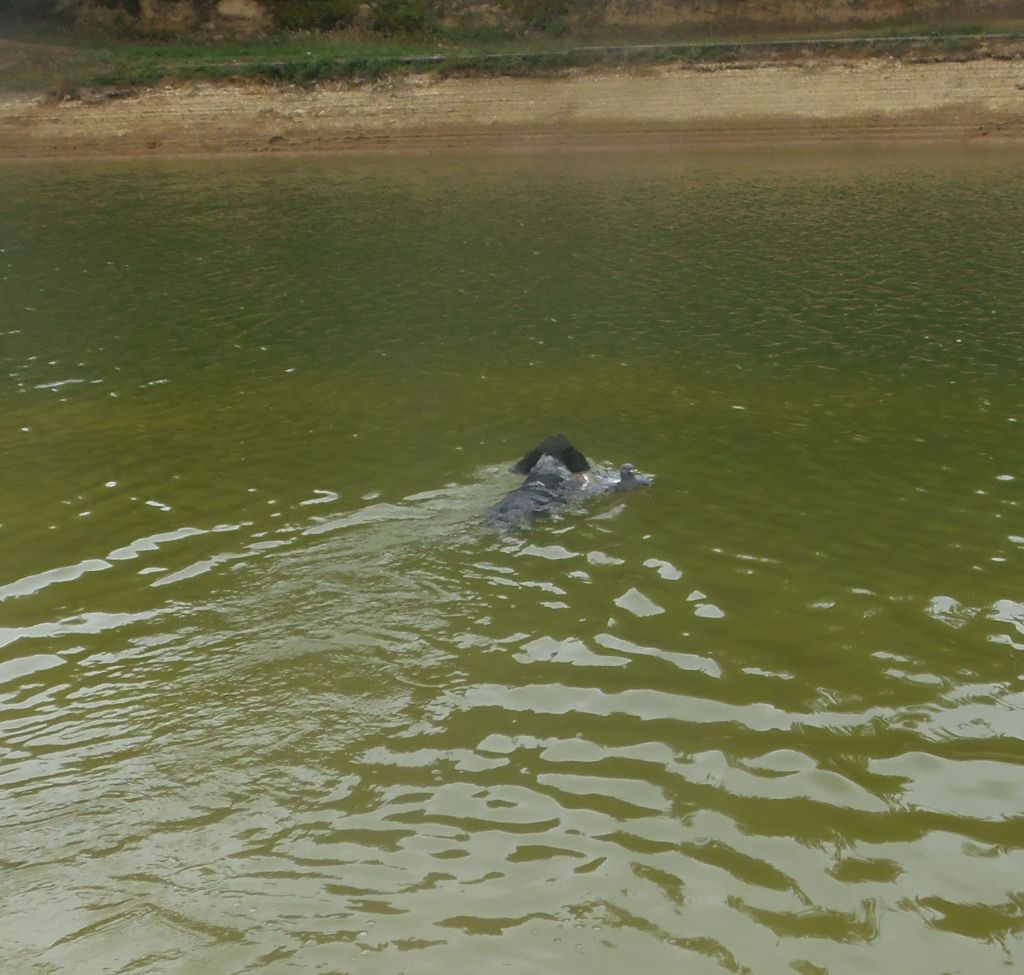 Publication : Du Val Des Deux Baïses Auteur : du val des deux baïses