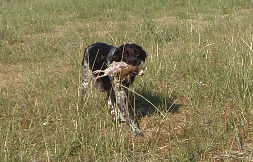 Publication : Du Val Des Deux Baïses Auteur : du val des deux baïses