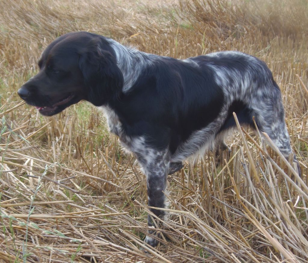 Publication : Du Val Des Deux Baïses Auteur : du val des deux baïses