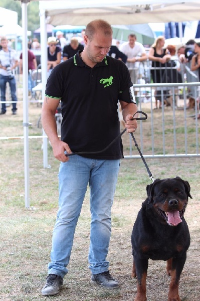 Fléau von der wharen kraft - 2 eme Excellent RCACS