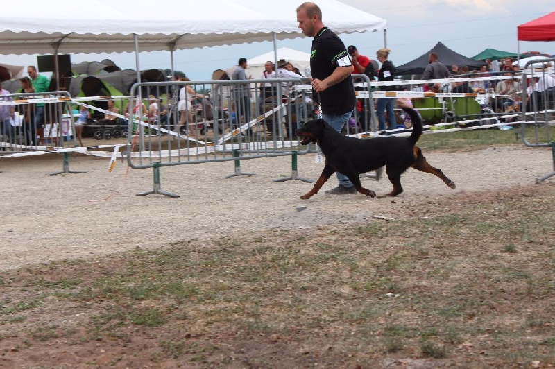 Hera von der wharen kraft - 2 eme excellent