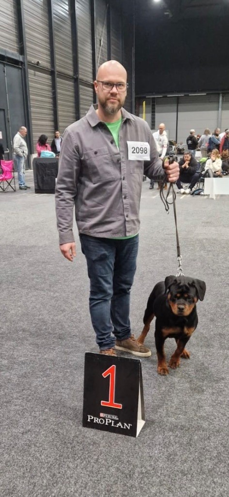 Ulla Vom Hause Hugel - 1er très prometteur