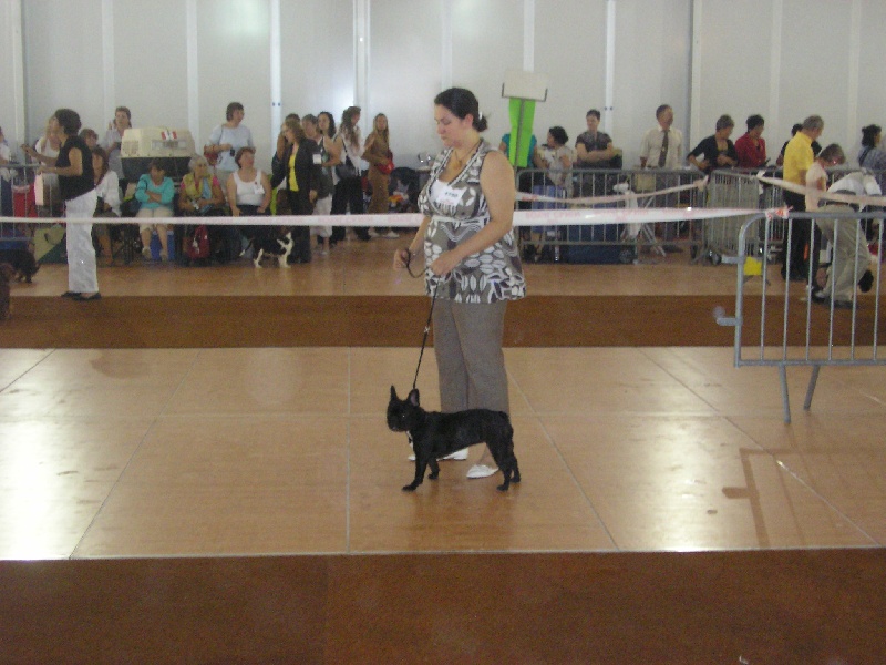 Fidji du Domaine de Miss Betty - Prometteur