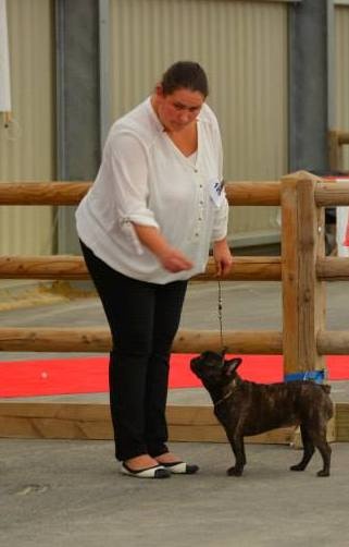 Heverglades De L'aude De Bakkara - exc