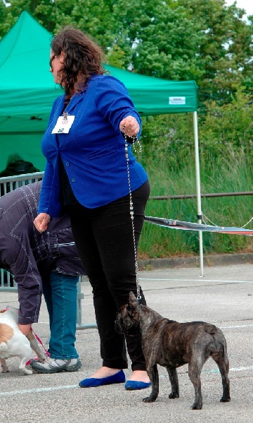 Heverglades De L'aude De Bakkara - 1 ere EXC + CACS