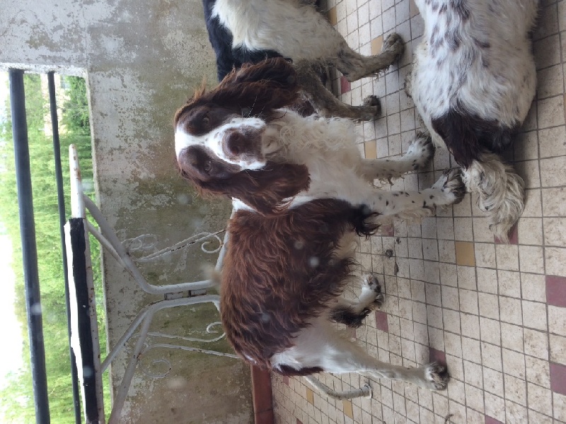 Je suis libertine du Port Vieux of Euskadi