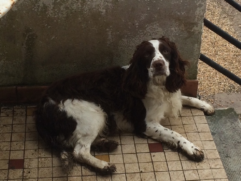 Je suis libertine du Port Vieux of Euskadi