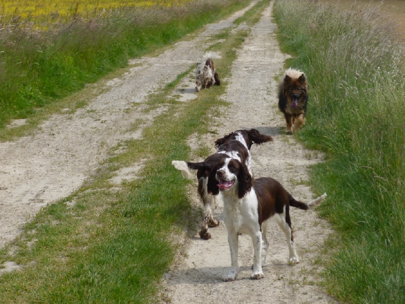 Je suis libertine du Port Vieux of Euskadi