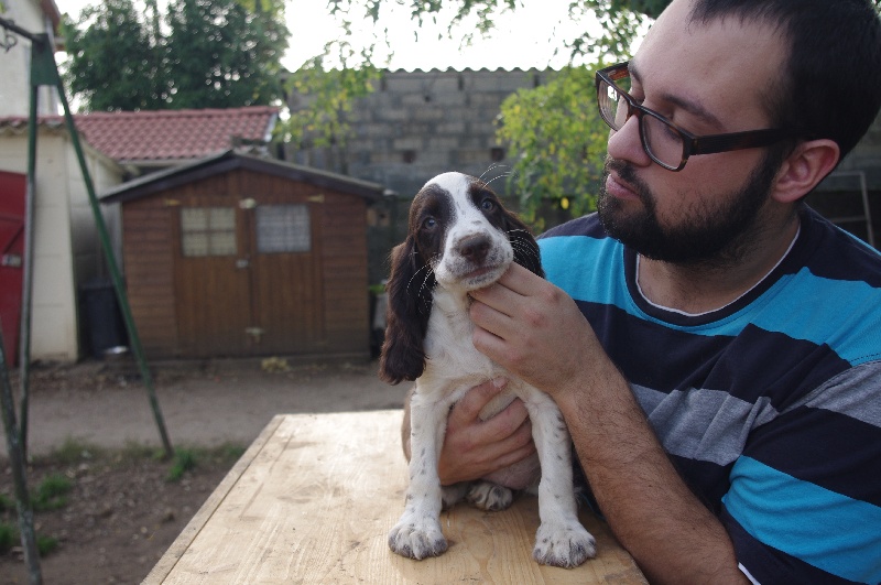 Je suis libertine du Port Vieux of Euskadi