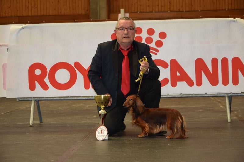 Bhima baubo anamsunamom - CACS RCACIB