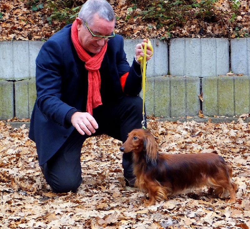 Ishtar Von lawranshome - CACS.CACIB.meilleure de race