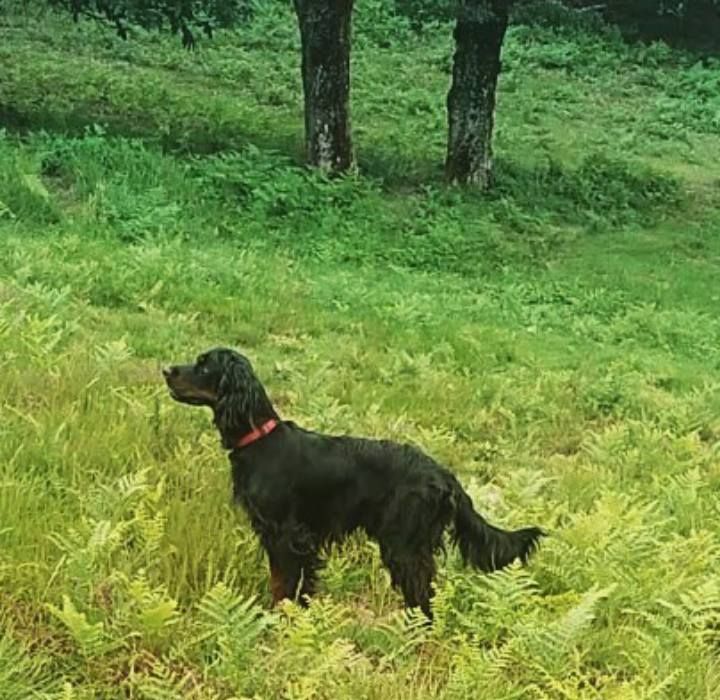 Link'in park De La Grange De Ploumajou - TAN