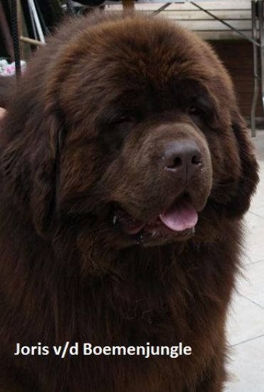 Publication : Des Jardins De Vesco