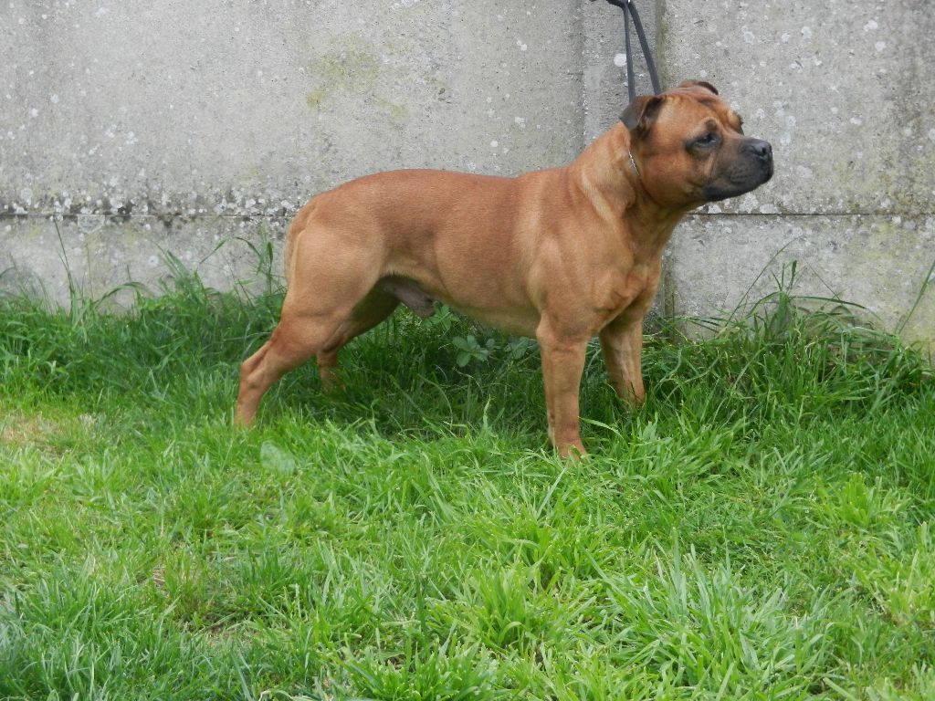 Publication : Des tempêtes du pays breton
