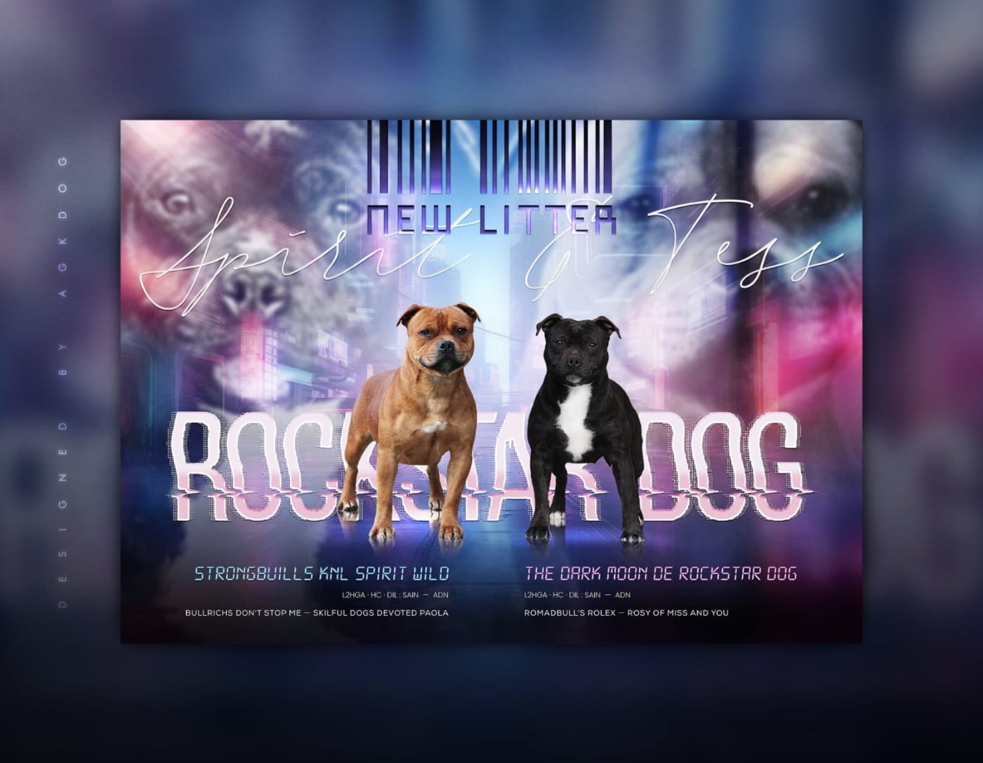 Staffordshire Bull Terrier - De Rockstar Dog