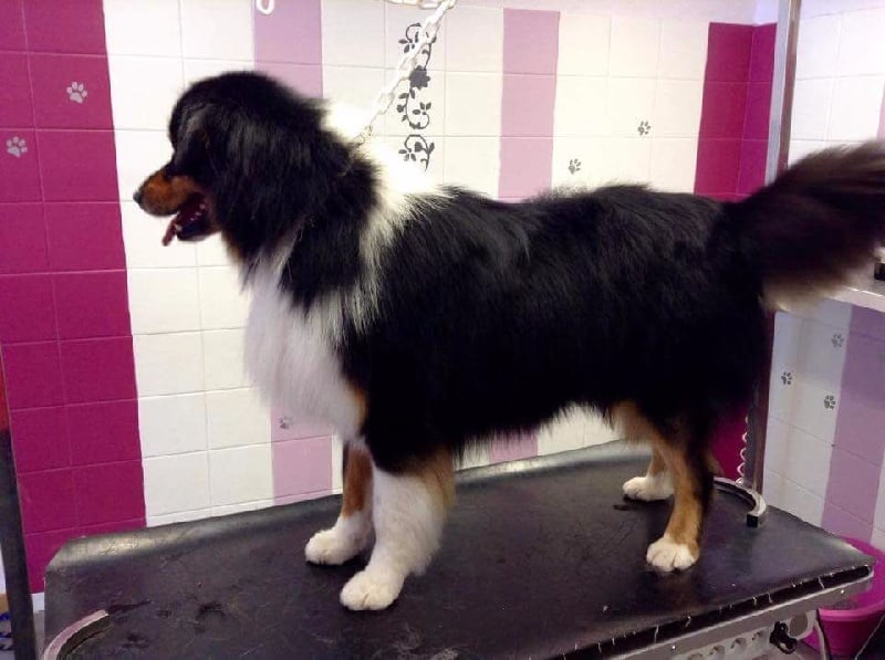 Publication : De La Vallée Magique Auteur : Yadan ingrid