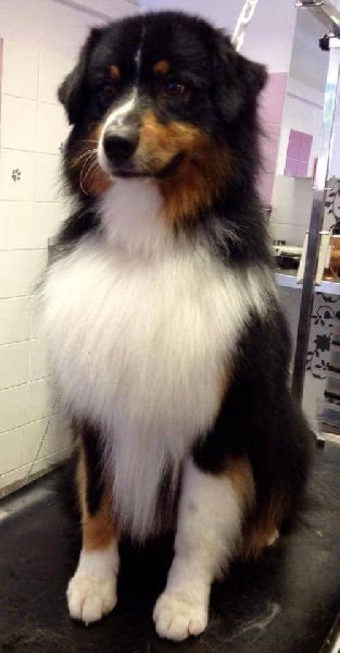 Publication : De La Vallée Magique Auteur : Yadan ingrid