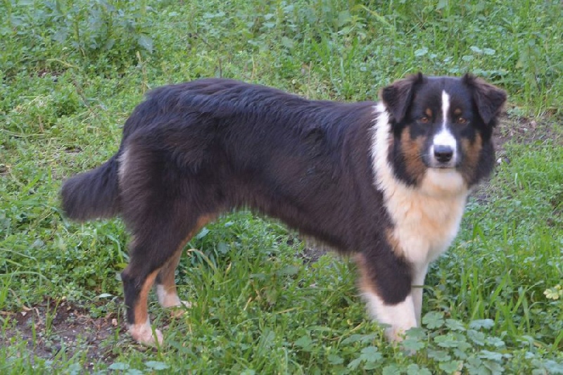 Publication : De La Vallée Magique