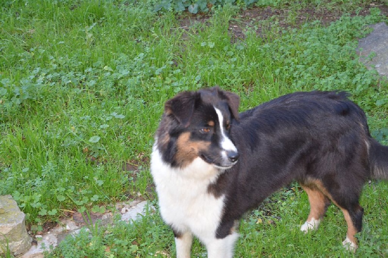 Publication : De La Vallée Magique