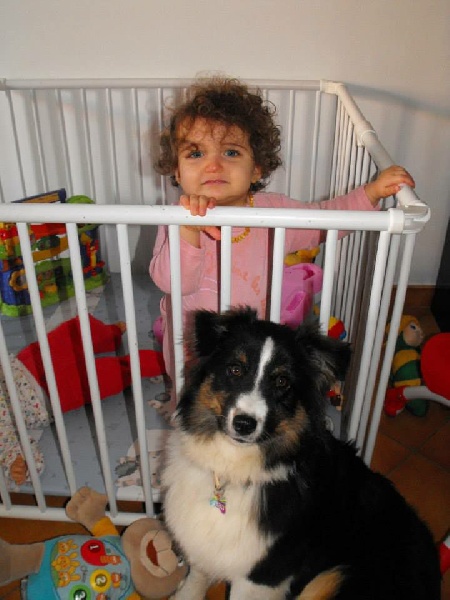 Publication : De La Vallée Magique