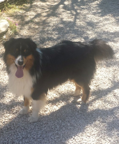 Publication : De La Vallée Magique Auteur : Yadan ingrid