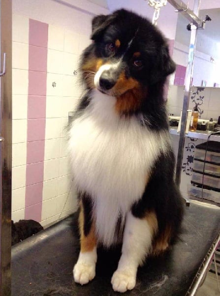 Publication : De La Vallée Magique Auteur : Yadan ingrid