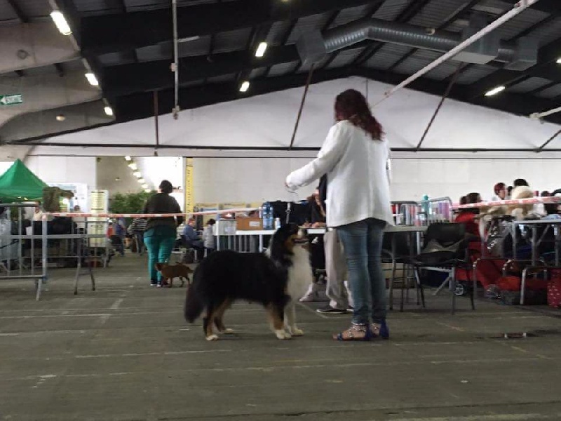 Publication : De La Vallée Magique Auteur : Yadan ingrid