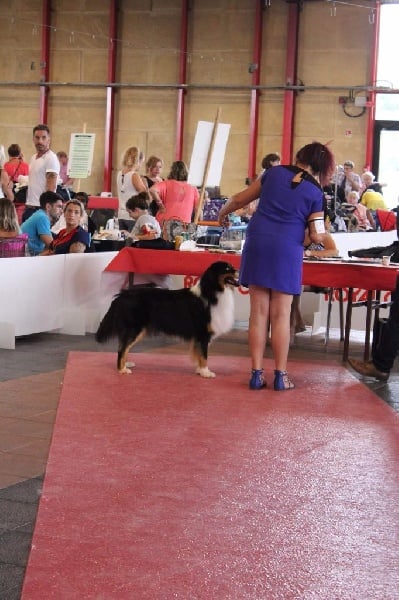 Pathways To Avalon Island magic - excellent non classé ouverte male