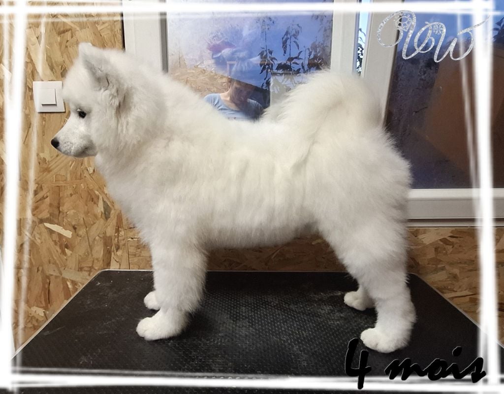 Ambitious goddess-of-nature Von Weiss Juwelen