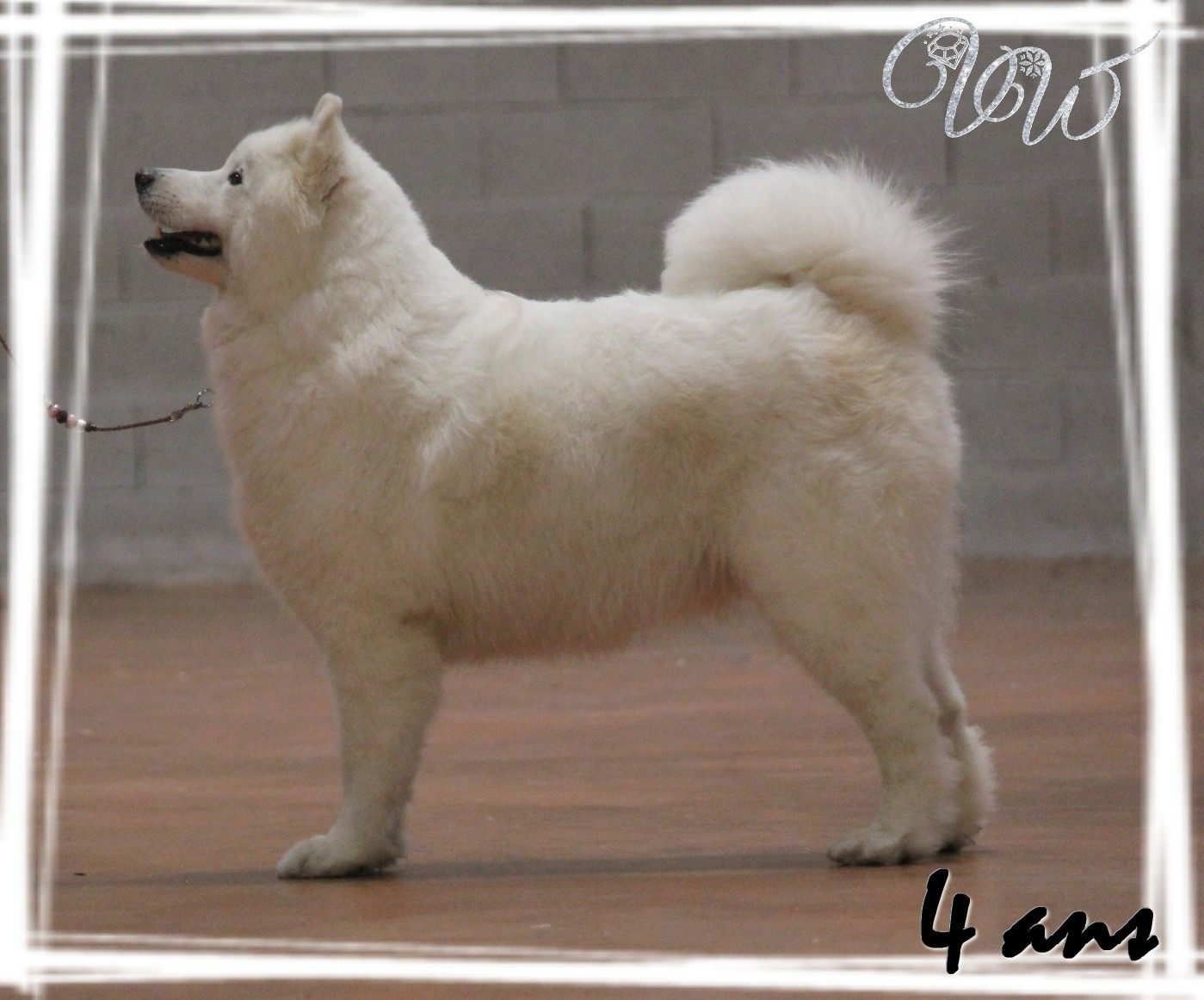 Sumptuous light-of-siberia Von Weiss Juwelen