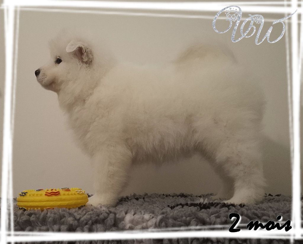 Ambitious goddess-of-nature Von Weiss Juwelen