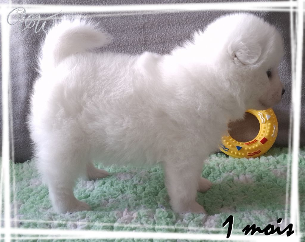 Ambitious goddess-of-nature Von Weiss Juwelen