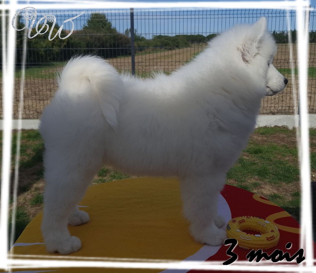 Ambitious goddess-of-nature Von Weiss Juwelen