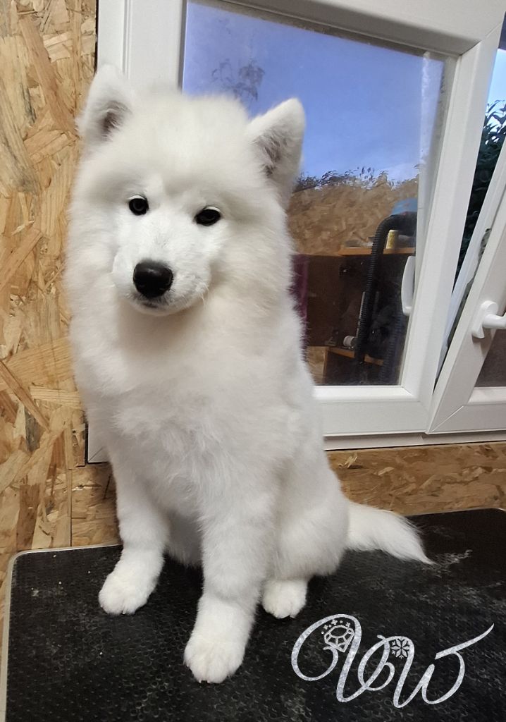 Ambitious Goddess-of-Nature von Weiss Juwelen