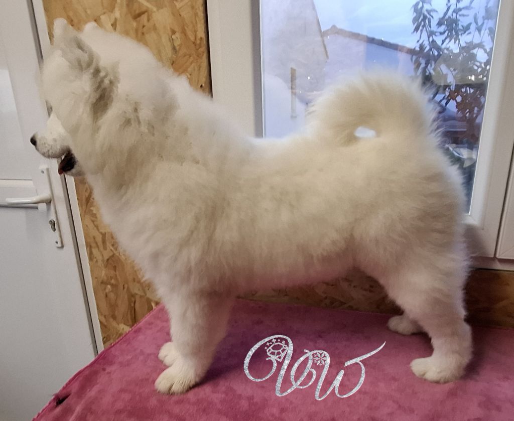 Ambitious Goddess-of-Nature von Weiss Juwelen