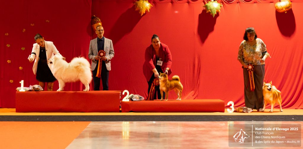 CH. Mystic milady Von Weiss Juwelen - 1° Excellent - CACS-V - BOB Vétéran - BIS Vétéran