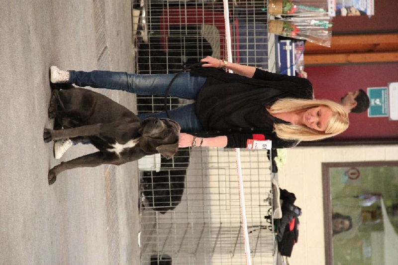 Hiliana dit hermès de la licorne noire - TB