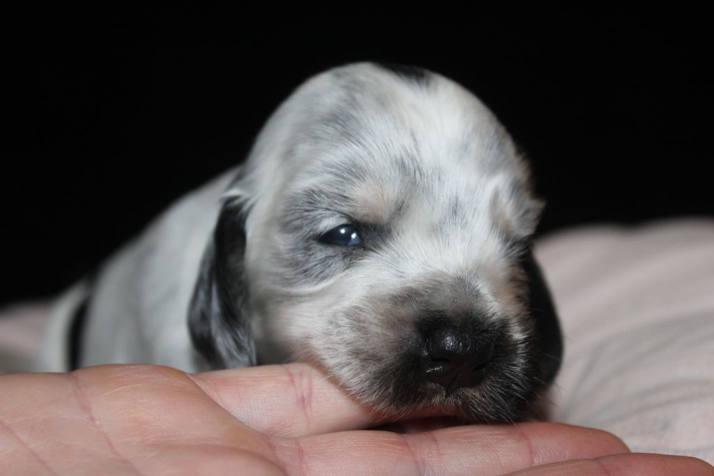 F2- ARIA DE LA MAHONNIÈRE